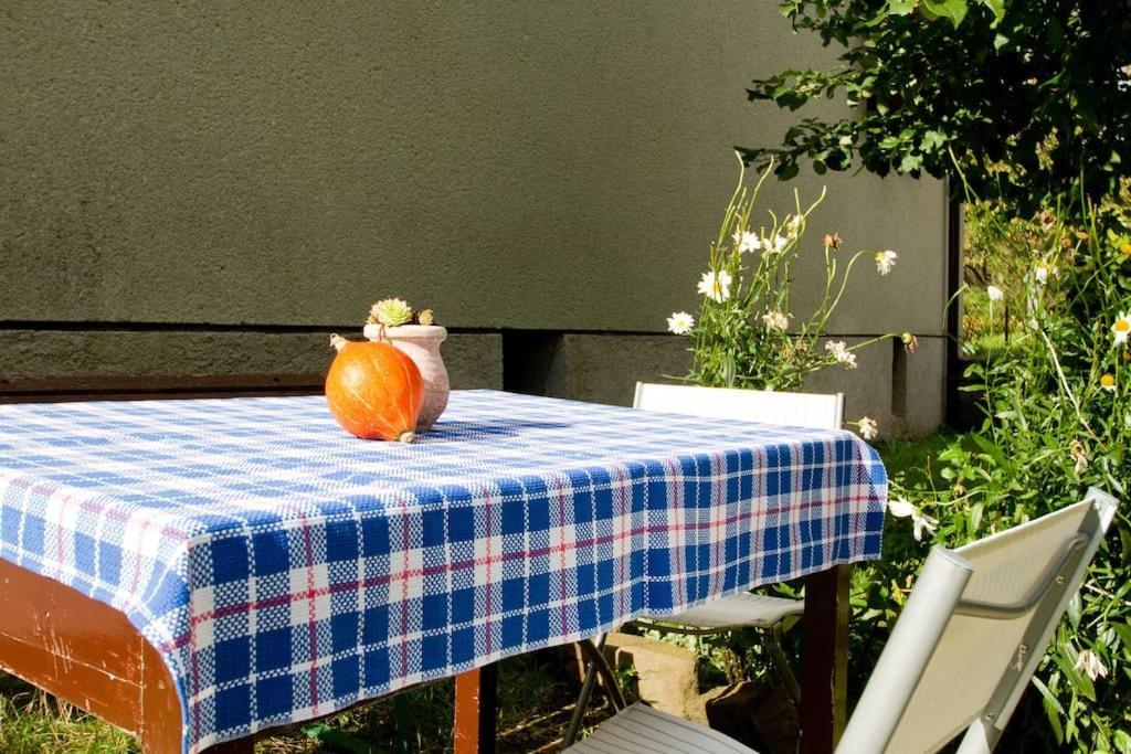 Cozy Rooms In Nature, Perfect For Relax Ilirska Bistrica Exterior foto